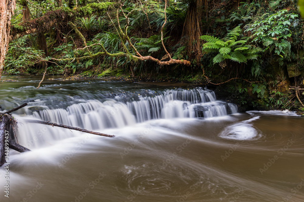 Purakaunui Falls, Catlins, South Island, New Zealand