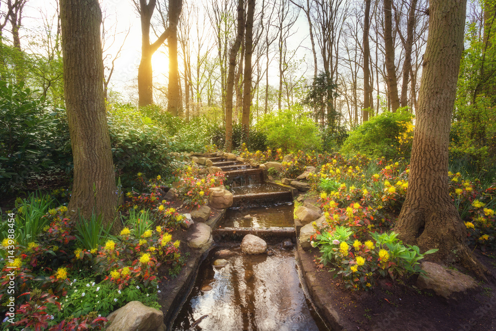 Amazing blooming spring park with water cascade in famous Keukenhof park, Netherlands. Beautiful lan