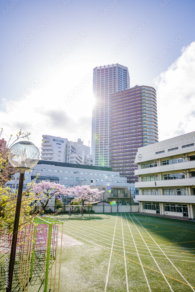 東京の桜