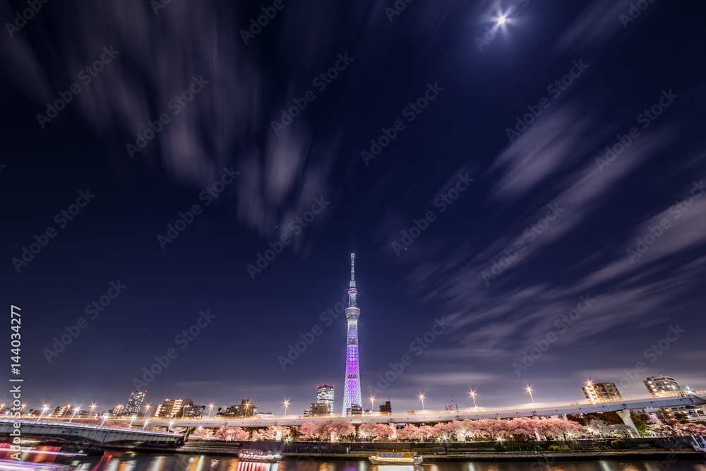 東京の夜桜