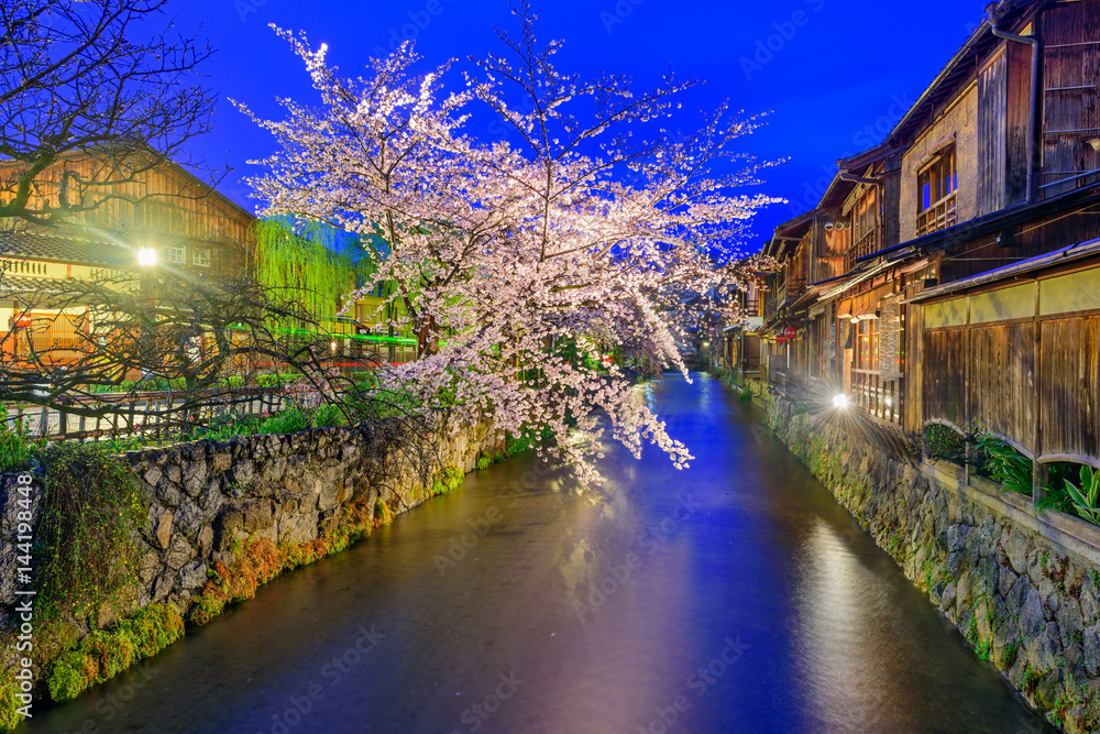 Gion Shirakawa, Kyoto, Japan in spring.