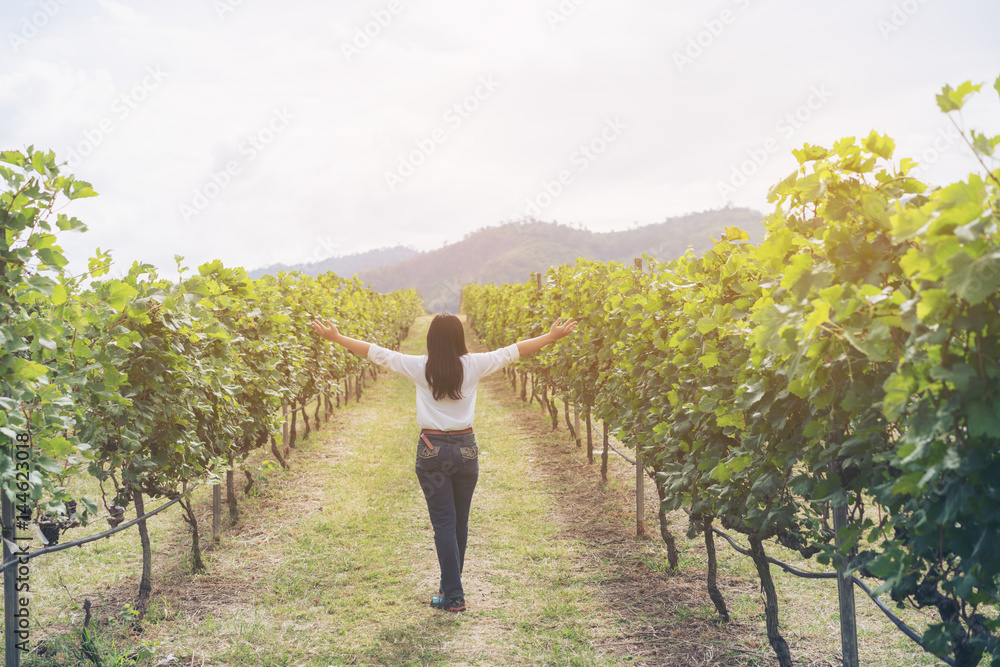 Vineyard worker checking wine grapes in vineyard