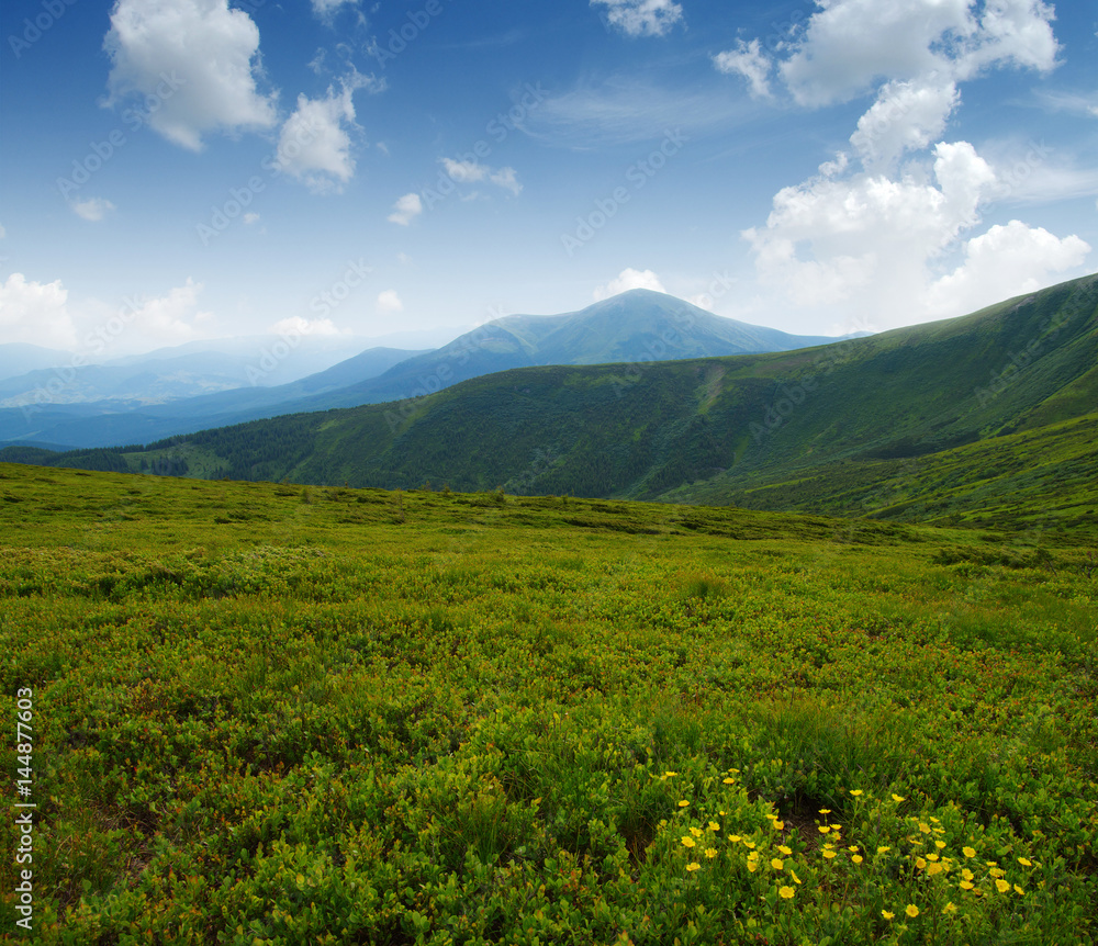 夏日山景