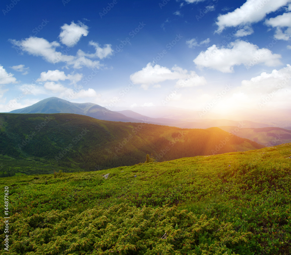 阳光下的山景