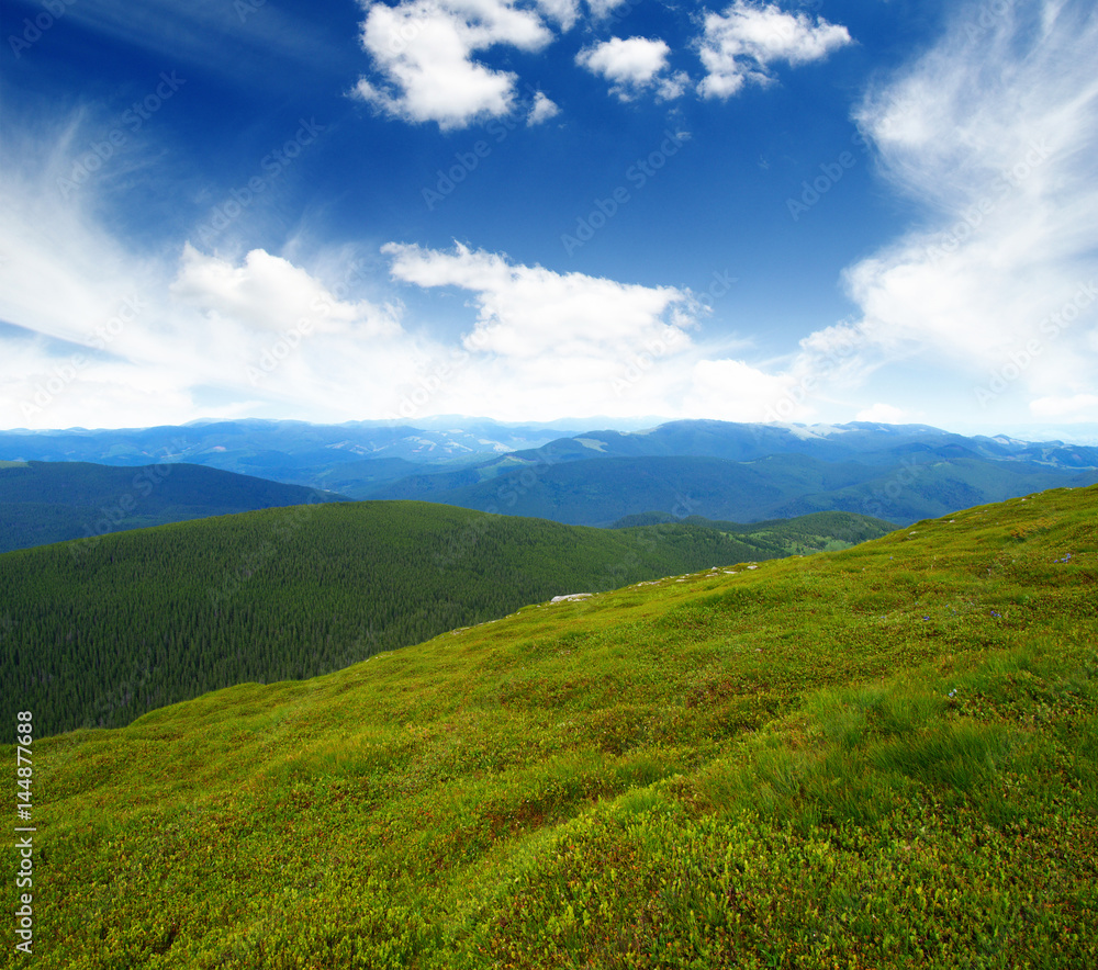 夏日山景