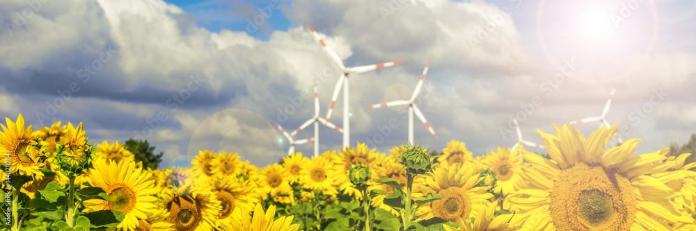 Sonnenblumen und Windkraftanlagen bei strahlendem Sonnenschein