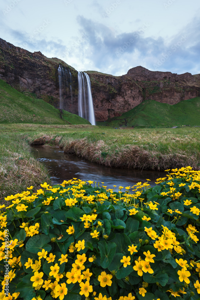 Seljalandfoss