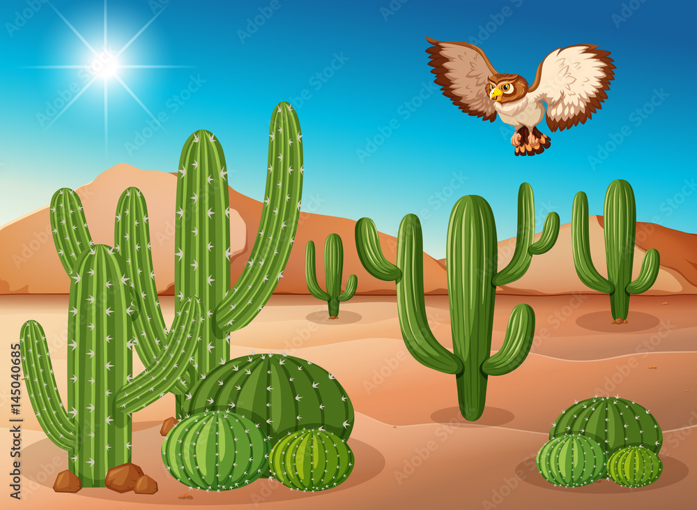 Owl flying over cactus in desert