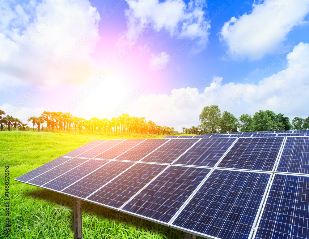 Solar panels on green grass with blue sky