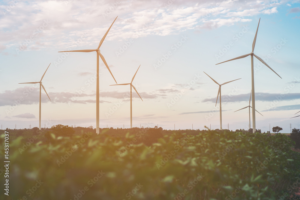 Wind Turbine Farm, Wind Energy Concept.