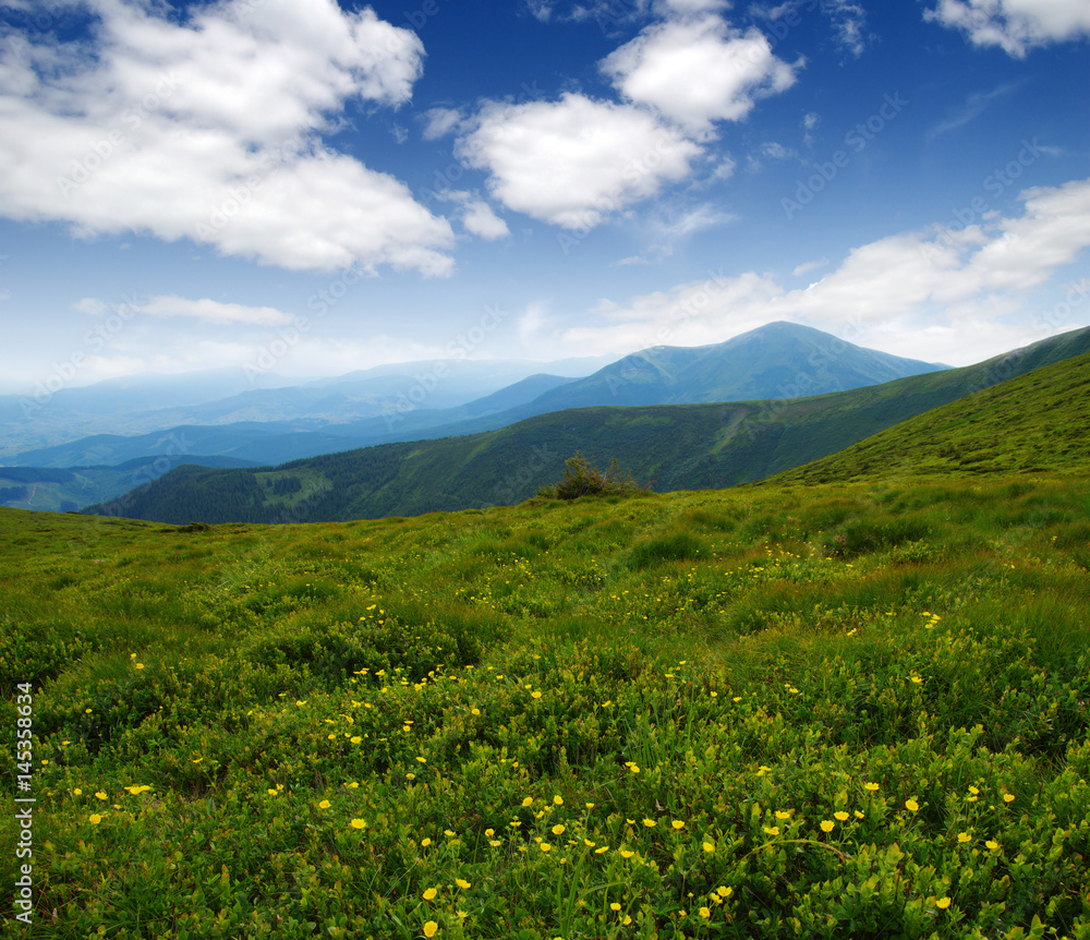 Mountain landscape in summer