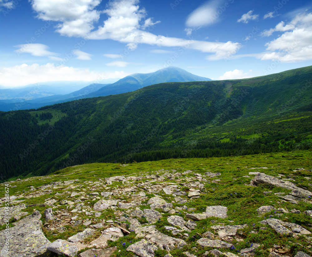 夏日山景