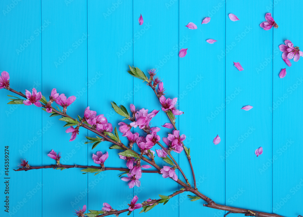  Spring flowers on wood