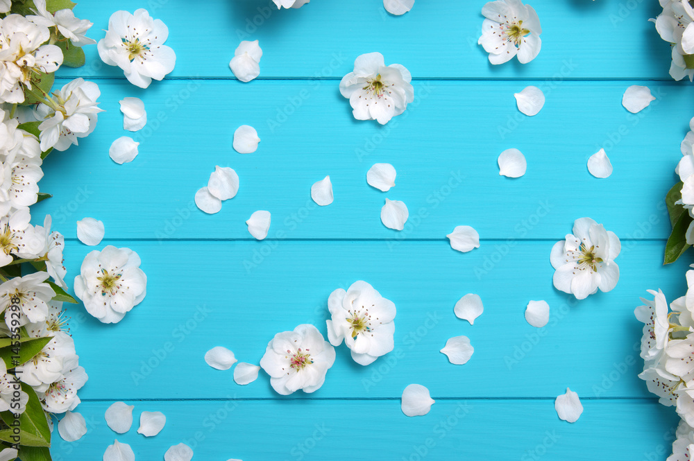 Spring blossom on blue wood