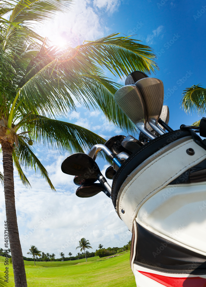 Golf bag with clubs against palm tree and sky