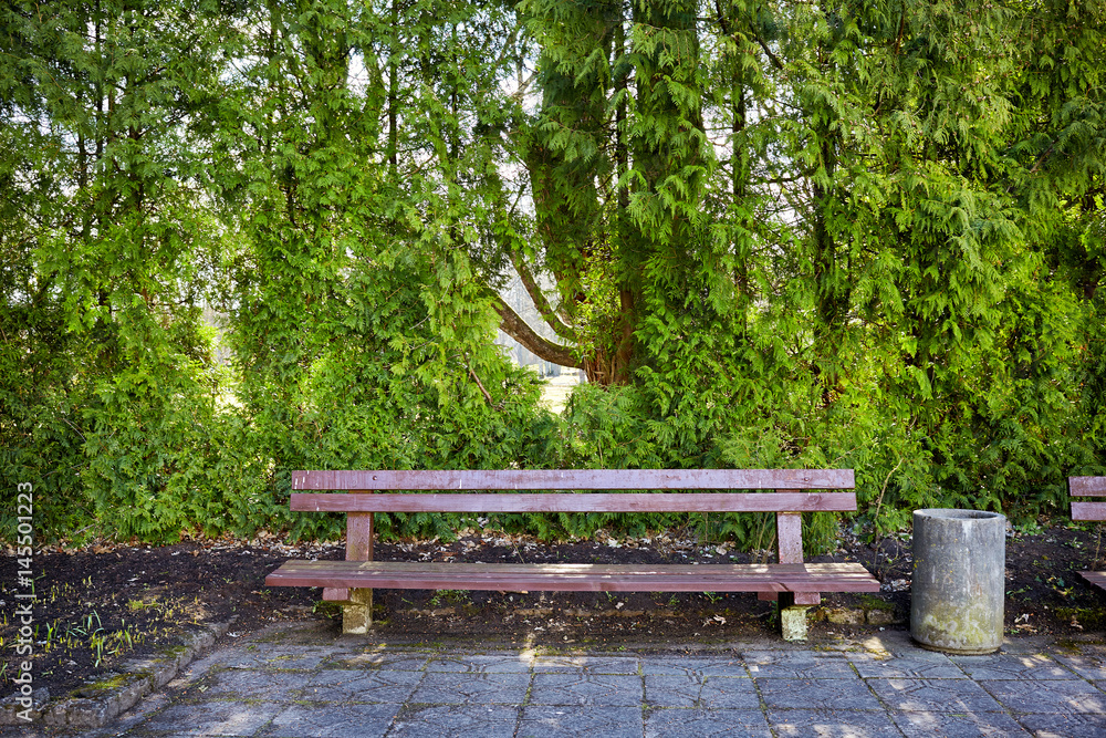 wooden bench in a park