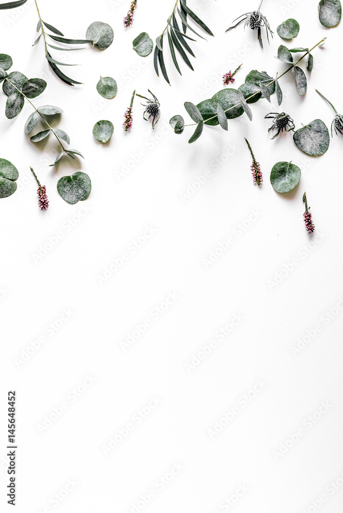 Modern spring design with plants on white background top view mock-up