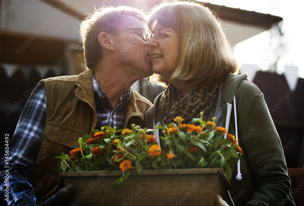 Senior couple planting vegetables at garden backyard