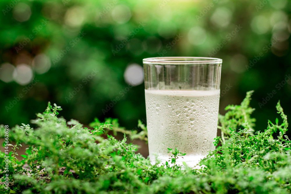 a glass of cool fresh water on natural green background