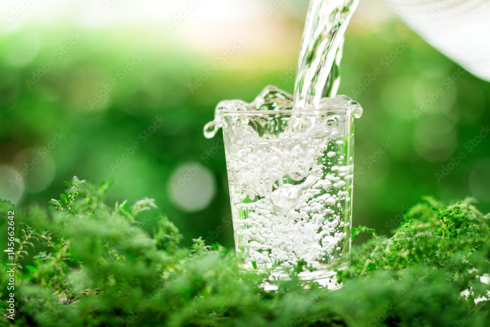 a glass of cool fresh water on natural green background