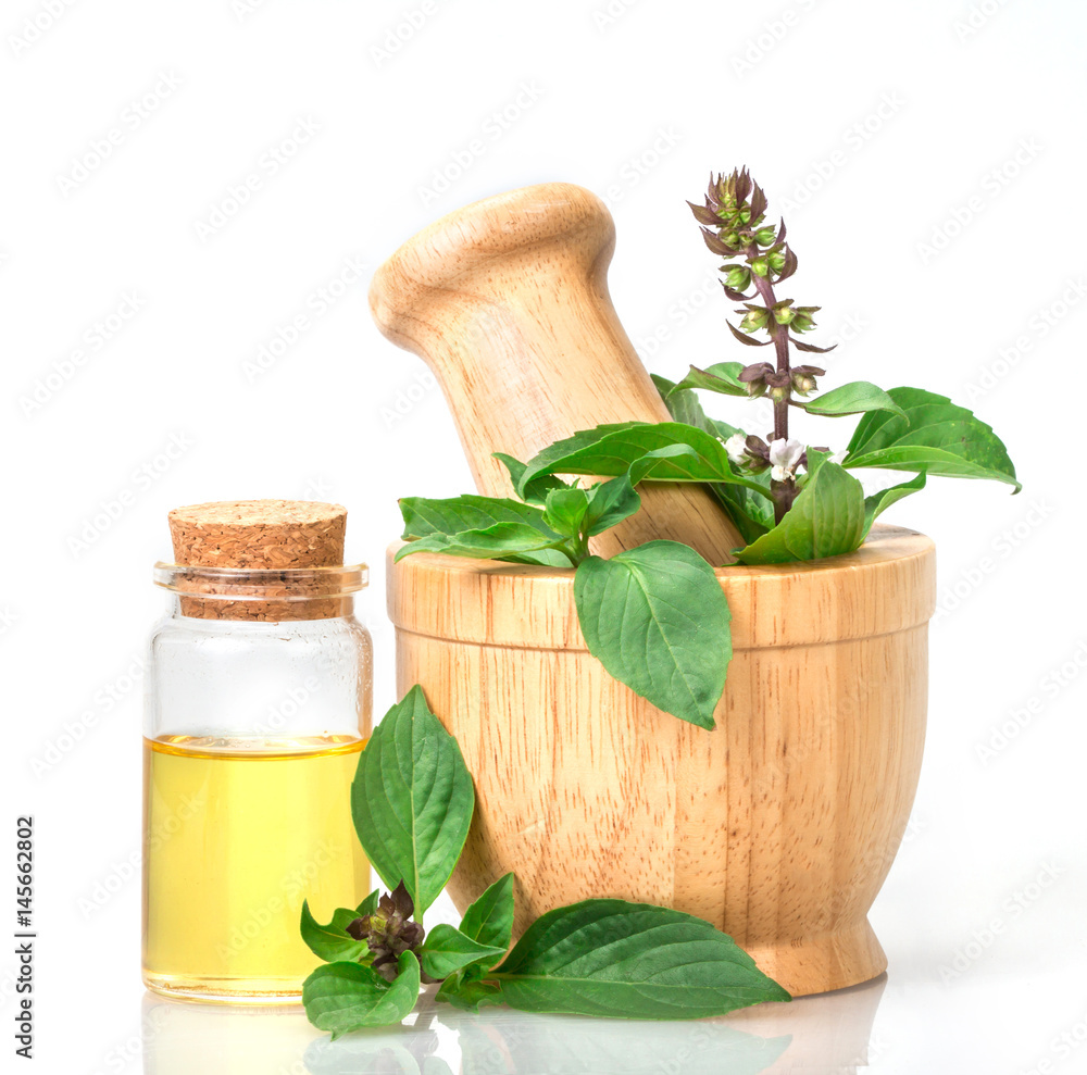  basil in wooden mortar with essential oil , alternative herbal medicine and aromatherapy concept