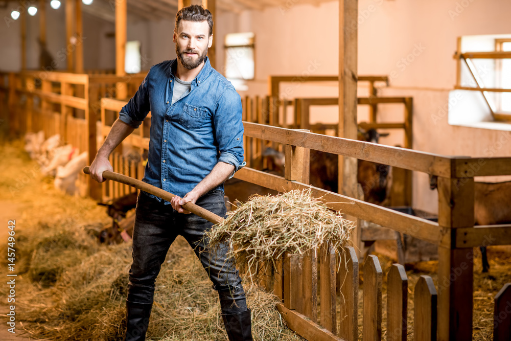 Farmer working in the goat barn