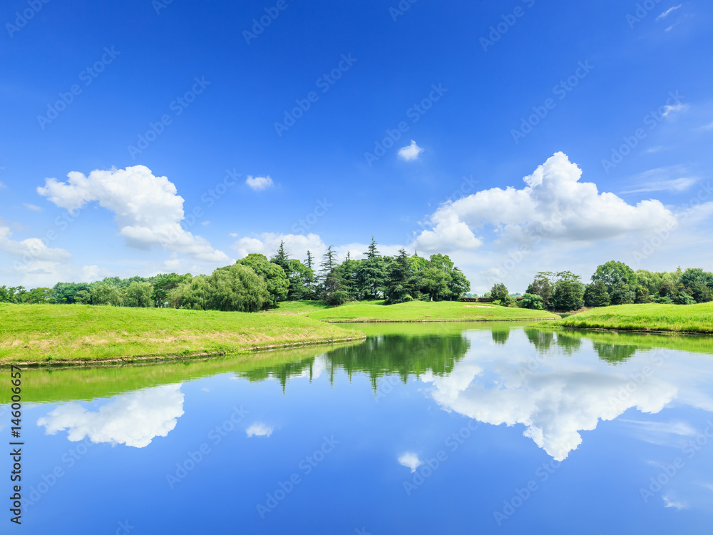 green grass and pond under the blue sky