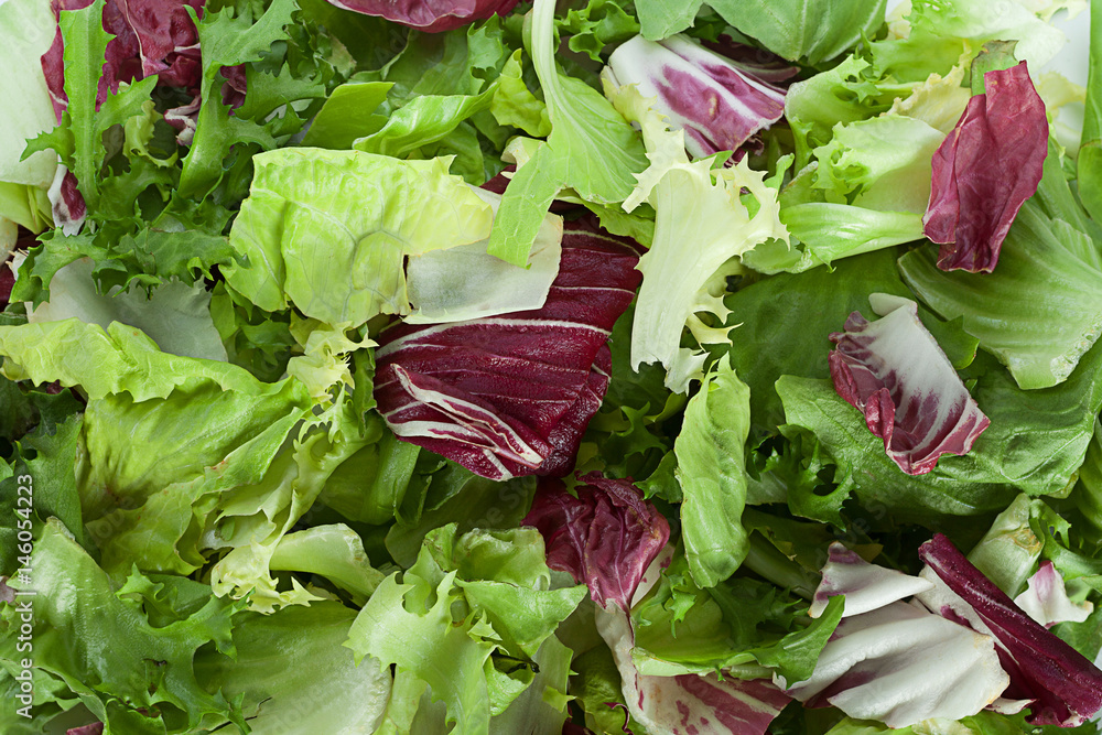 Fresh salad leaf slice background