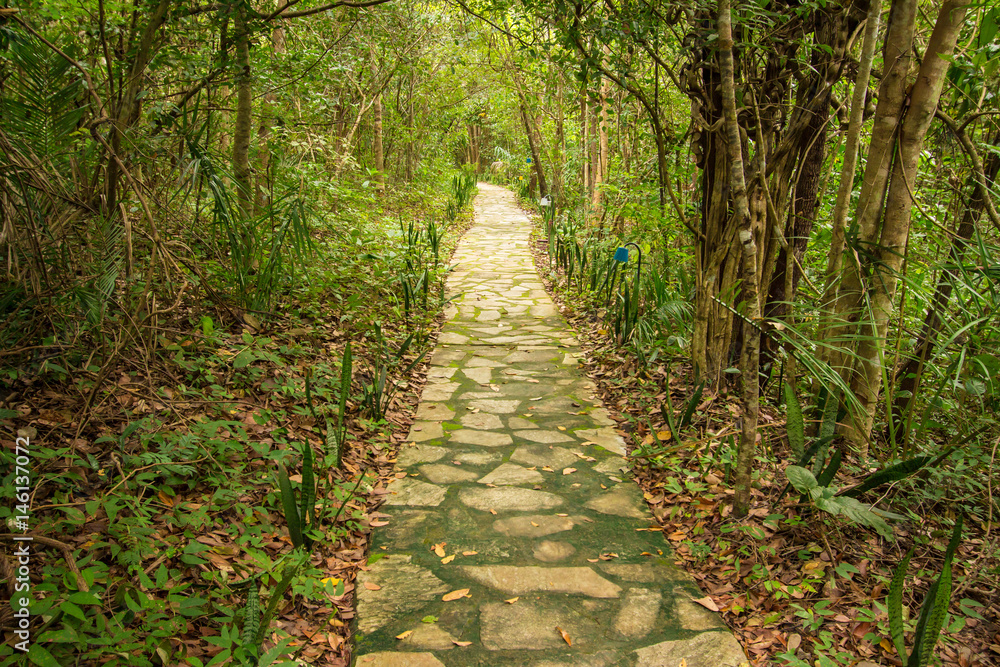 Stone way. Jardim do Eden, chapada dos veadeiros