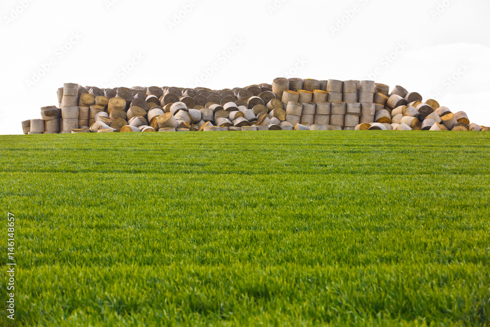 Hay bales in middle of the field