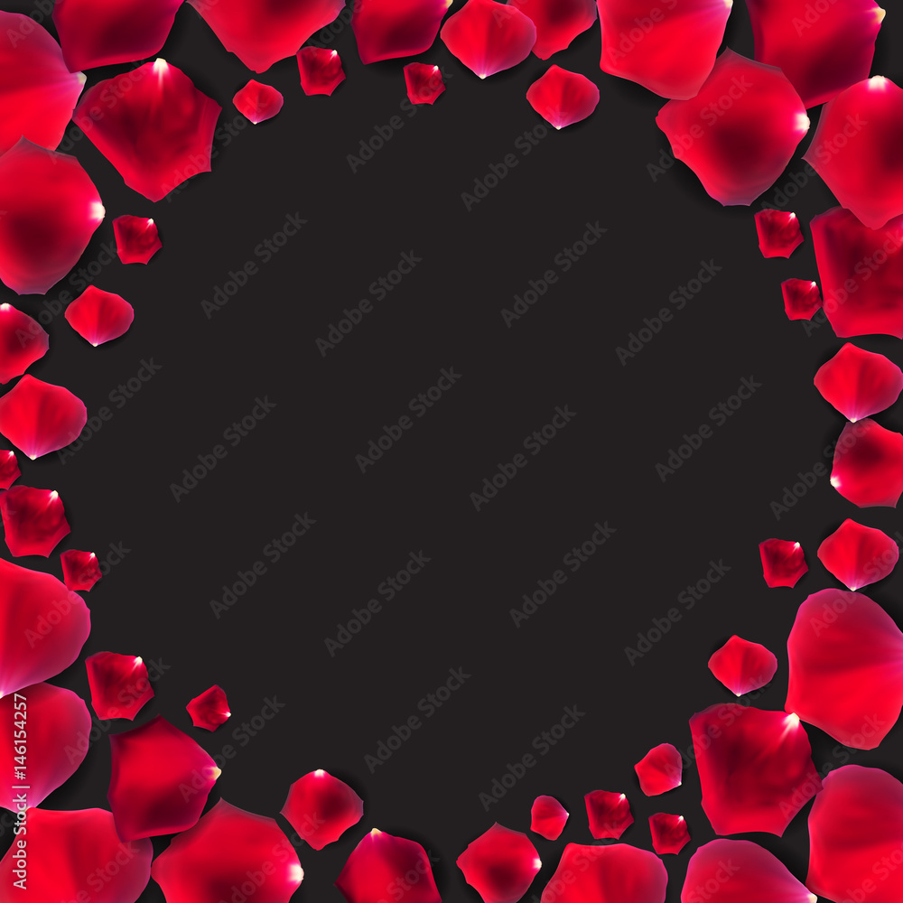 Abstract Natural Rose Petals Frame Background Realistic Vector I