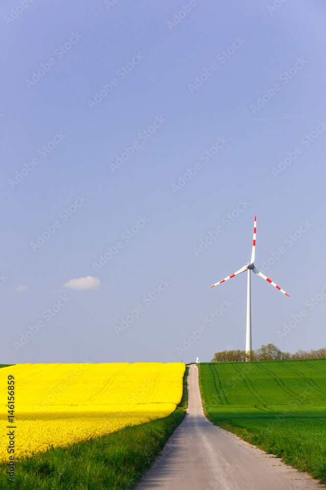 Wind farm with spinning wind turbine