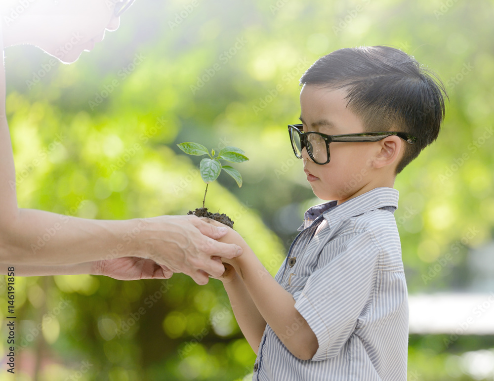 Child holding young plant in hands with a hope of good environment