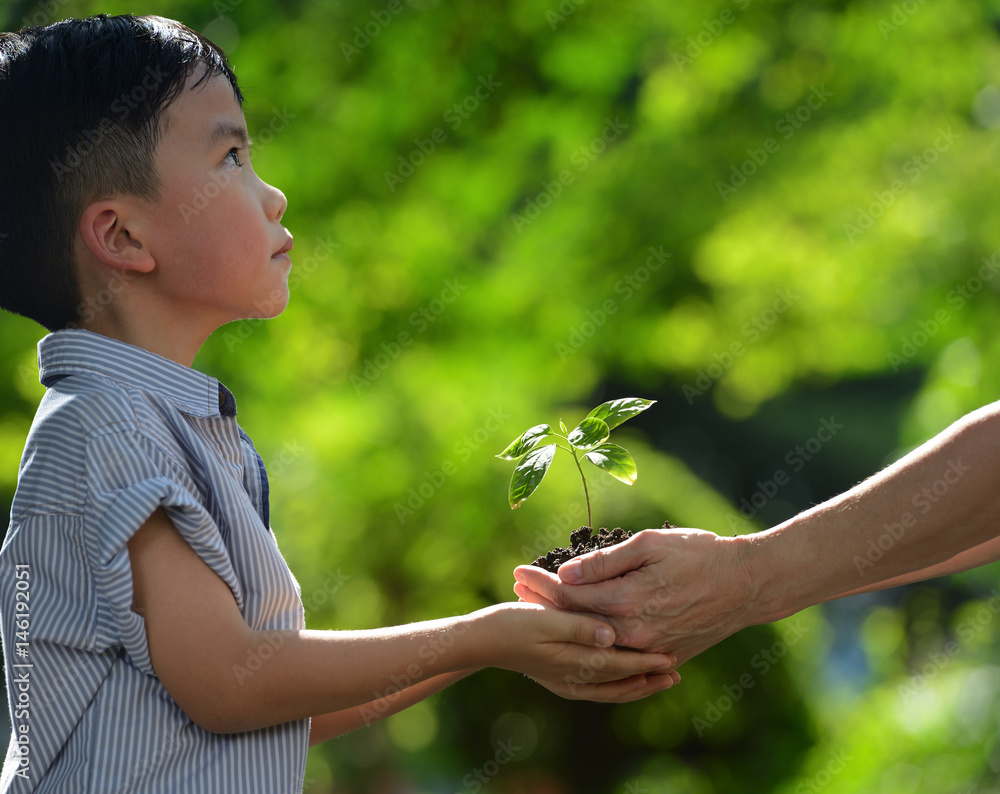 Two hands holding together a green young plant