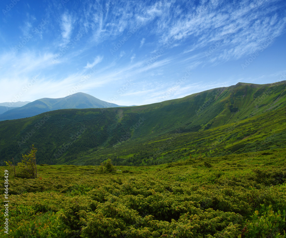 夏日山景