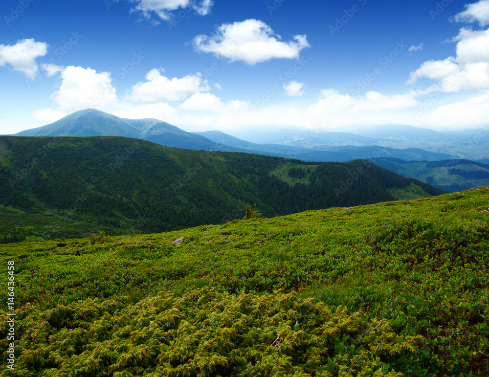 夏日山景