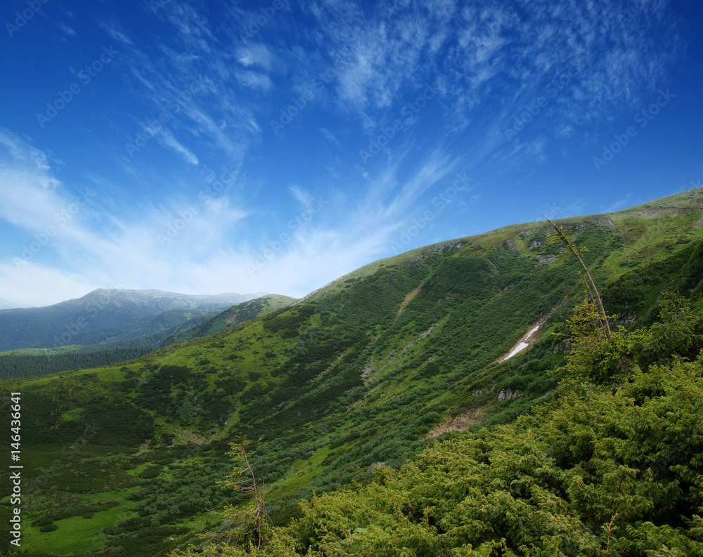 夏日山景