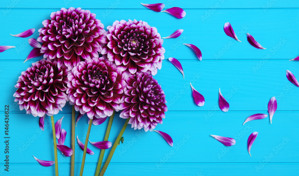  Flowers on blue painted wooden planks.