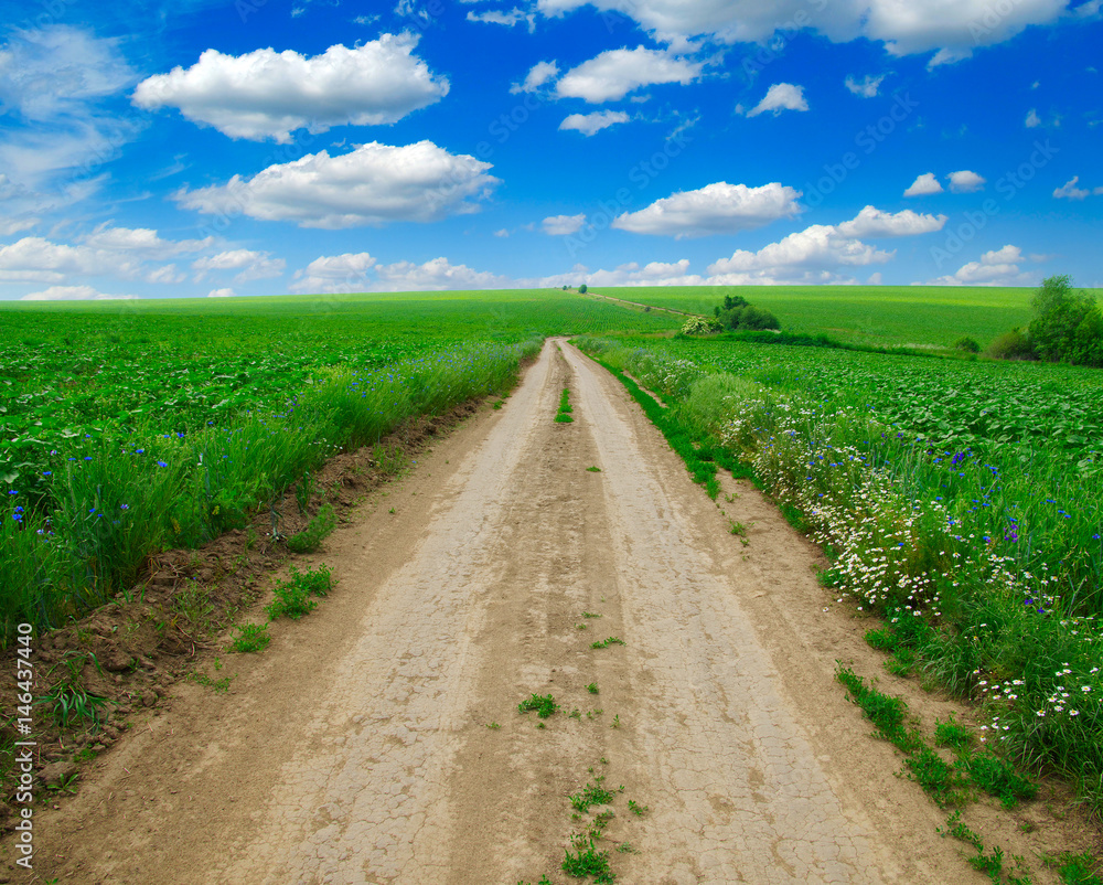 road in field