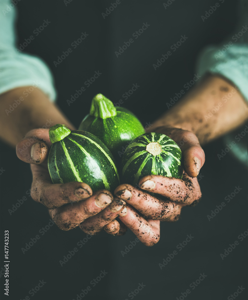 一名身穿黑色围裙的男子在当地农民手中拿着新鲜的时令绿色圆形西葫芦m