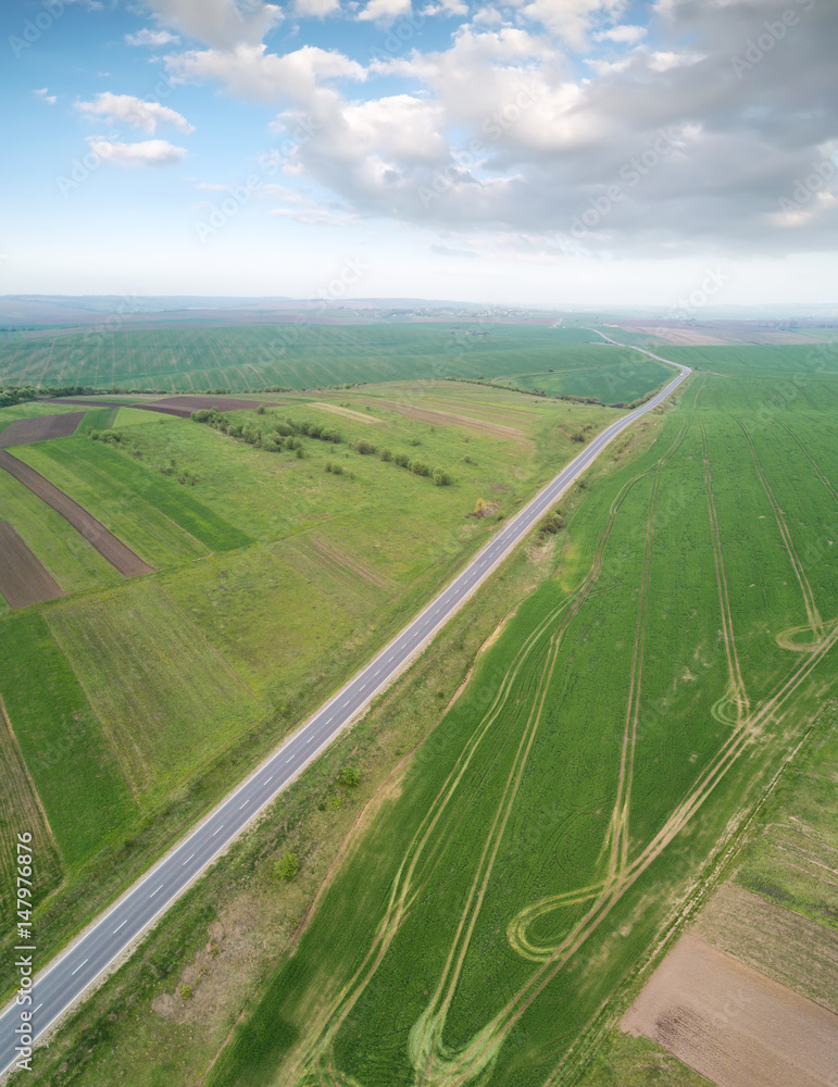 View on the field from air. Agricultural landscape in the summer time