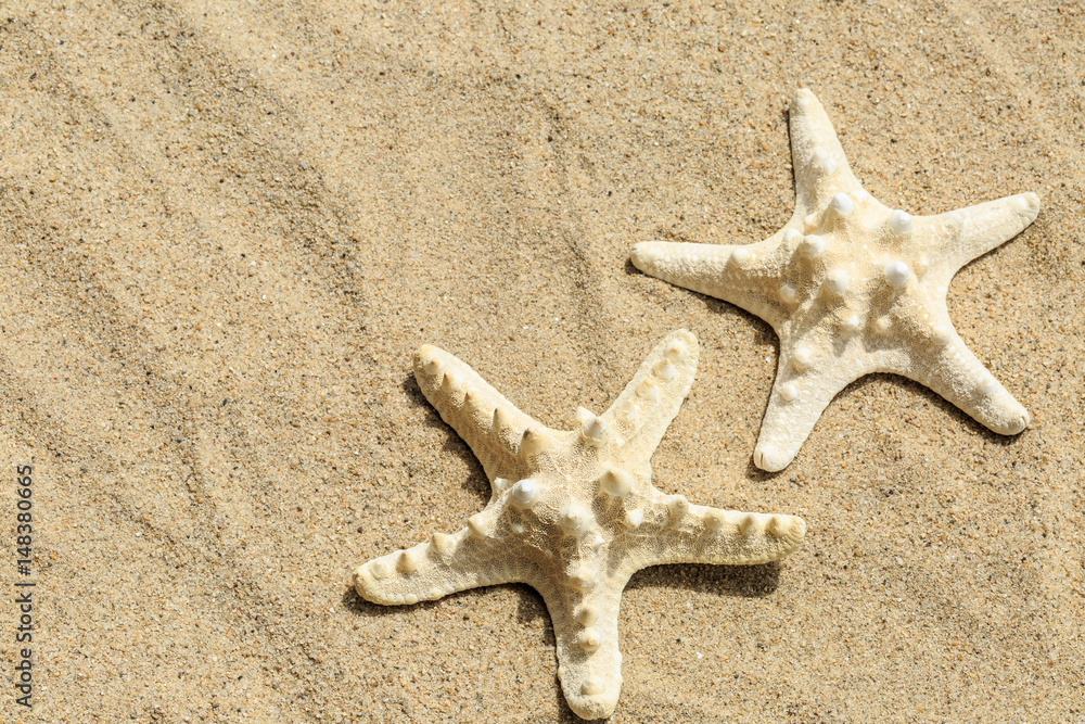 Starfish on sandy beach