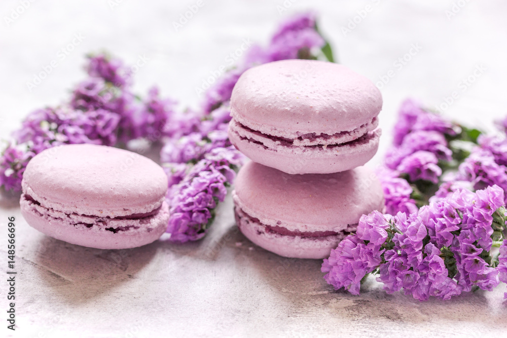 spring design in pastel color with macaroons and purple flowers