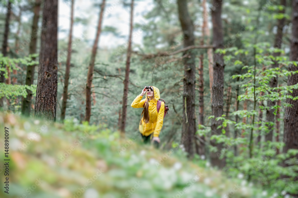 穿着黄色雨衣徒步旅行的妇女在松林中的景观