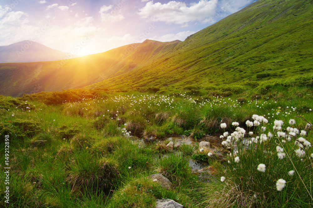 Mountain landscape on sun