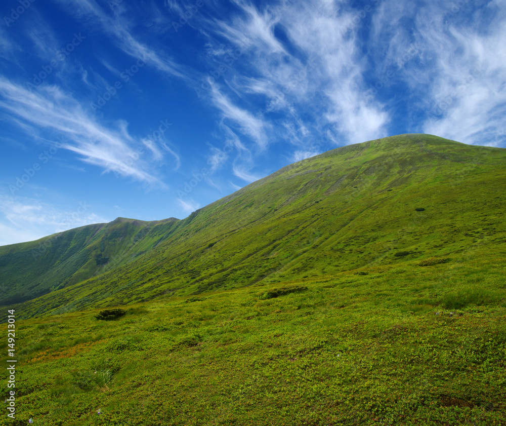 夏日山景