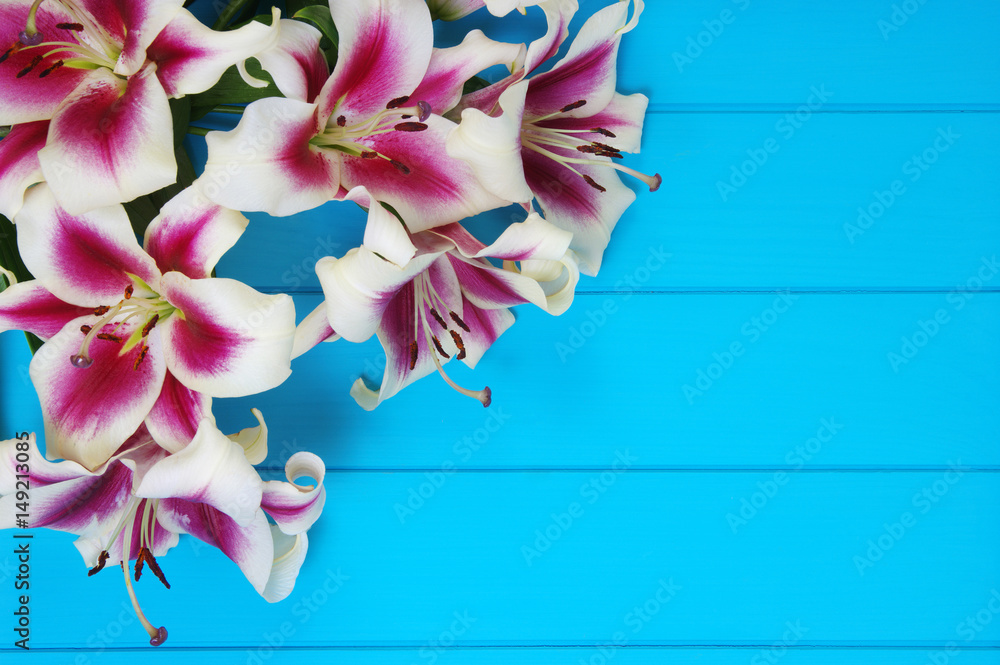  lily flowers on wooden planks