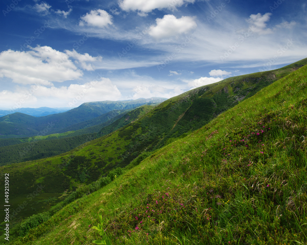 夏日山景