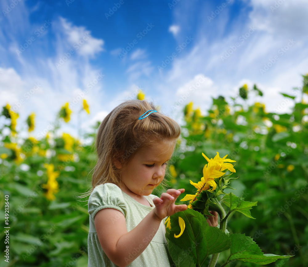  girl and sunflower on the field