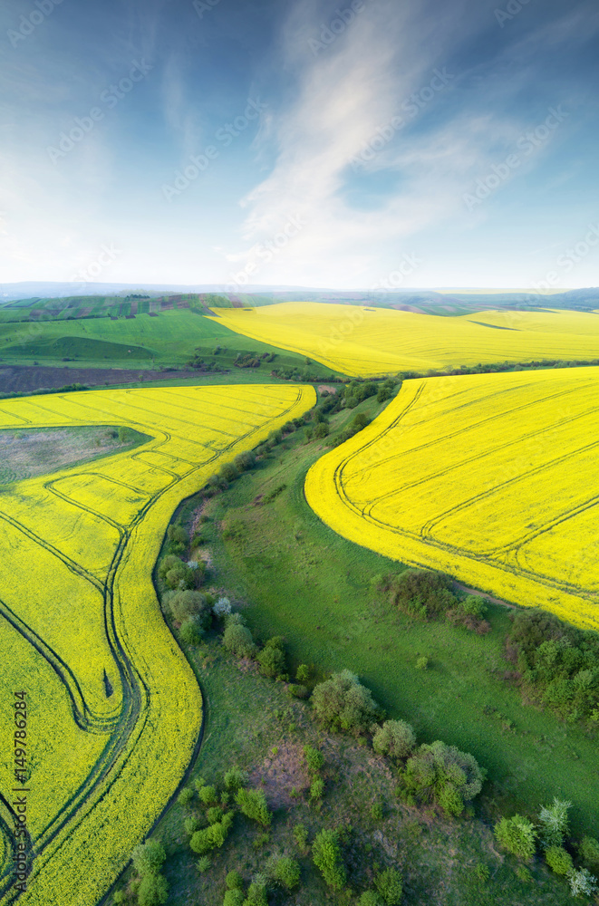 View on the field from air. Agricultural landscape in the summer time